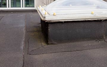 disadvantages of Minterne Parva flat roofs