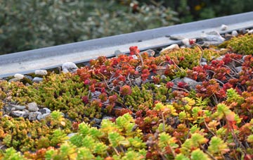 the cost of Minterne Parva green roof installation