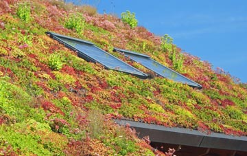 Minterne Parva living roof systems