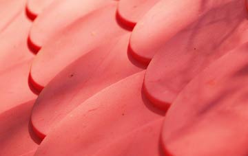 Minterne Parva plastic roof costs