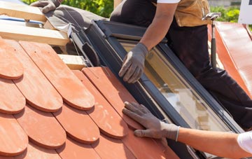 replacement Minterne Parva roof windows